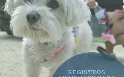 Registros Akashicos para mascotas